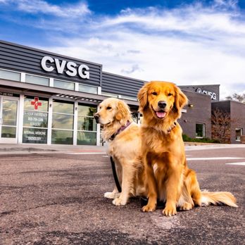 Colorado Veterinary Specialty Group - CVSG Main Building - Veterinarians Near Me - Littleton, Colorado Colorado Veterinary Specialty Group - CVSG Main Building - Veterinarians Near Me - Littleton, Colorado