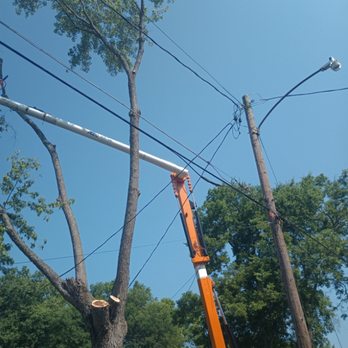 Trees Unlimited - Tree Services Near Me - Gallatin, Tennessee Trees Unlimited - Tree Services Near Me - Gallatin, Tennessee