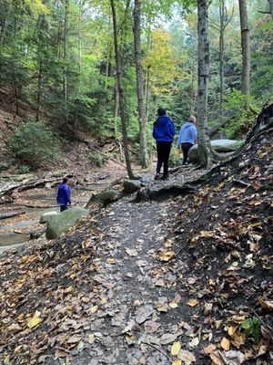 Chestnut Ridge Park by null