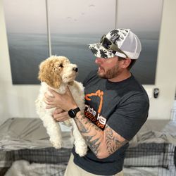 Florida K9 Unleashed