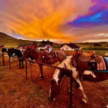 Tattered Saddle - Horseback Riding Near Me - Livermore, Colorado Tattered Saddle - Horseback Riding Near Me - Livermore, Colorado