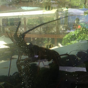 La Torre del Mirador - Scary lobster - Spanish Near Me - La Caleta, TF La Torre del Mirador - Scary lobster - Spanish Near Me - La Caleta, TF