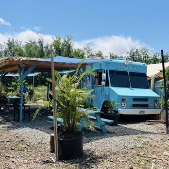 Fish Tacos El Blue - Plenty of shade here or  under the fruit stand trees - Food Trucks Near Me - Lahaina, Hawaii