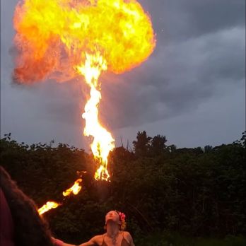 Midway Farms - Farmers Market Near Me - Albany, Oregon Midway Farms - Farmers Market Near Me - Albany, Oregon