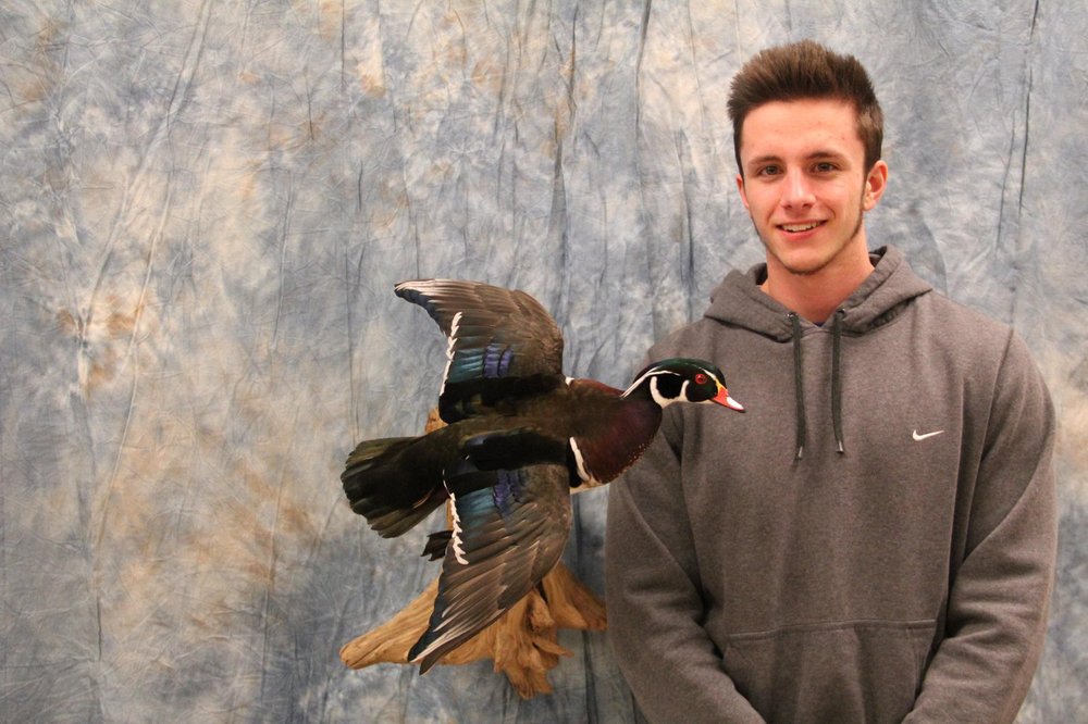 Mirabile Taxidermy - taxidermy in Spring City, PA