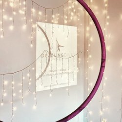 Dazzling Diva Fitness - Lyra hoop with sign reflected
