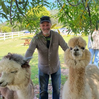 Canzelle Alpacas - Happy birthday!!! - Farms Near Me - Carpinteria, California Canzelle Alpacas - Happy birthday!!! - Farms Near Me - Carpinteria, California