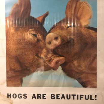 The Smokin Pig - Hogs sure are beautiful - Barbeque Near Me - Pendleton, South Carolina The Smokin Pig - Hogs sure are beautiful - Barbeque Near Me - Pendleton, South Carolina