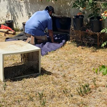 On Call Detail - Work in progress - Solar Panel Cleaning Near Me