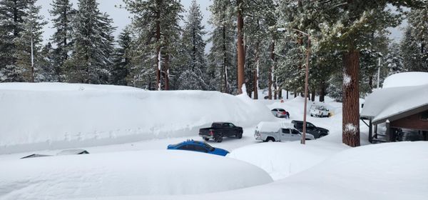 Kings Canyon National Park by null