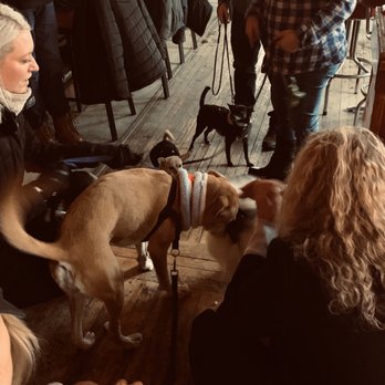 Regano's Roman Coin - Pups everywhere - love it!! - Dive Bars Near Me - Milwaukee, Wisconsin Regano's Roman Coin - Pups everywhere - love it!! - Dive Bars Near Me - Milwaukee, Wisconsin