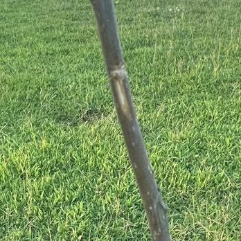 TN Nursery - Nurseries & Gardening Near Me - Altamont, Tennessee TN Nursery - Nurseries & Gardening Near Me - Altamont, Tennessee