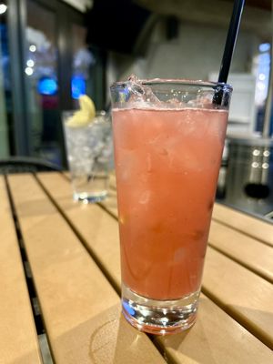 The Blind Rhino - Bridgeport by null