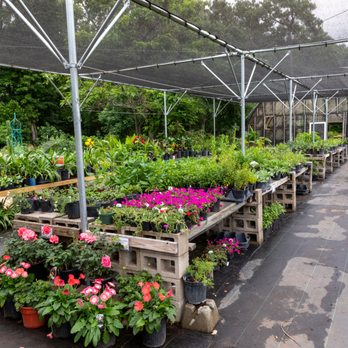 Nature's Way Resources - Large selection of Native Plants. - Nurseries & Gardening Near Me - Conroe, Texas Nature's Way Resources - Large selection of Native Plants. - Nurseries & Gardening Near Me - Conroe, Texas