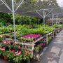 Photo of Nature's Way Resources