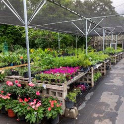 Nature's Way Resources - Large selection of Native Plants.