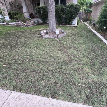 Real Green Pest and Lawn - Pest Control Near Me - Austin, Texas