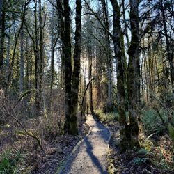 Tualatin Hills Nature Park & Recreation District