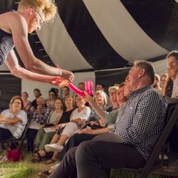 Laser Kiwi - Adelaide Fringe