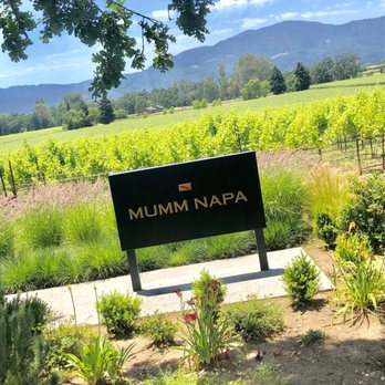 Mumm Napa - Wine Tasting Room Near Me - Rutherford, California Mumm Napa - Wine Tasting Room Near Me - Rutherford, California