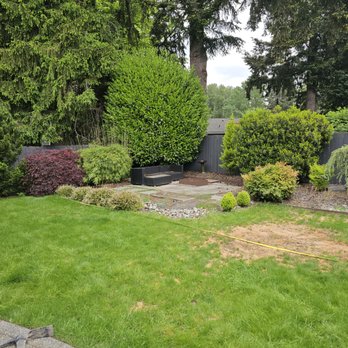 Buddha Builders - Before - Patio Coverings Near Me - Sammamish, Washington
