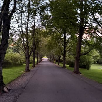 Akwaaba Bed and Breakfast - The road leading to the Mansion - Bed & Breakfast Near Me - Bethany, Pennsylvania
