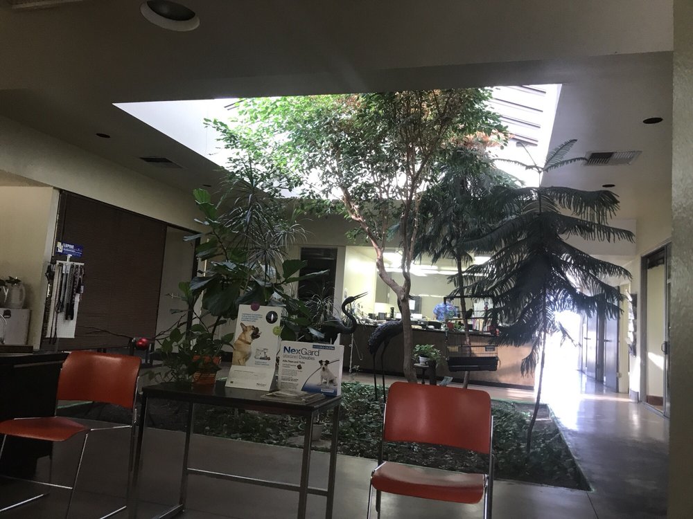 HOWARD ANIMAL HOSPITAL Updated August 2024 12 Reviews 4275 US Hwy