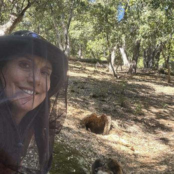 Fry Creek Campground - I'll forever have a head net with me when camping/hiking after this trip!! It saved the trip! - Campgrounds Near Me - Palomar Mountain, California