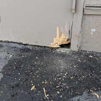 Smith's Pest Management - Pest Control Near Me Smith's Pest Management - Pest Control Near Me