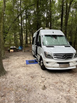Suwannee River State Park by null