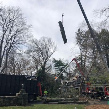 Dillon Tree Service - Large trees removed in Northborough, MA using crane for the service. - Tree Services Near Me - Shrewsbury, Massachusetts Dillon Tree Service - Large trees removed in Northborough, MA using crane for the service. - Tree Services Near Me - Shrewsbury, Massachusetts