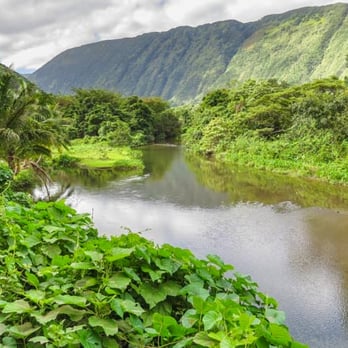 Waipi'o Valley - Loko Pu'uone - Beaches Near Me