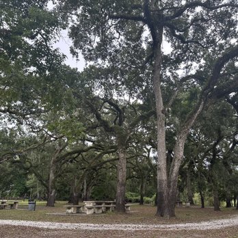 Peterson Park - Picnic tables and trees - Parks Near Me - Dade City, Florida