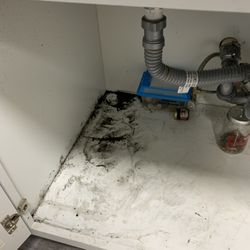 Miller & Humphrey Plumbing & Electric - Sewage water under my kitchen sink.