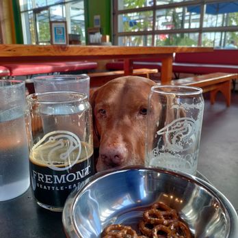 Fremont Brewing - Very dog friendly! - Breweries Near Me - Seattle, Washington Fremont Brewing - Very dog friendly! - Breweries Near Me - Seattle, Washington