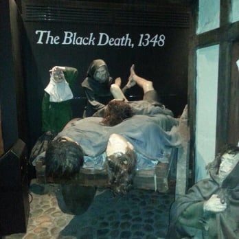 Dublinia - Museums Near Me - Dublin, D