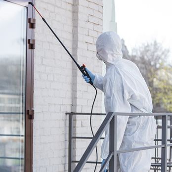 Trapping USA - pest control wildlife control - Pest Control Near Me Trapping USA - pest control wildlife control - Pest Control Near Me