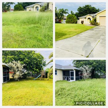 Vineyards Landscaping - four different views of a yard - Lawn Services Near Me Vineyards Landscaping - four different views of a yard - Lawn Services Near Me