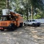 Photo of Long's Tree Service