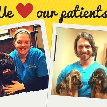 Effingham Veterinary Clinic - Veterinarians Near Me - Effingham, Illinois Effingham Veterinary Clinic - Veterinarians Near Me - Effingham, Illinois