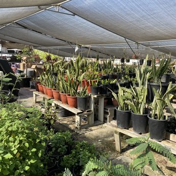 Vanās Nursery - Nurseries & Gardening Near Me - Westminster, California Vanās Nursery - Nurseries & Gardening Near Me - Westminster, California