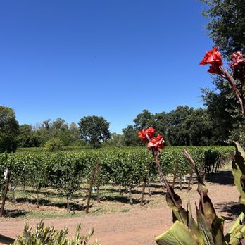 Gracianna Winery - Wine Tasting Room Near Me - Healdsburg, California