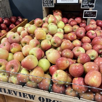 Battleview Orchards - Pick Your Own Farms Near Me - Freehold, New Jersey