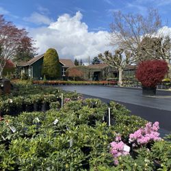 Portland Avenue Nursery