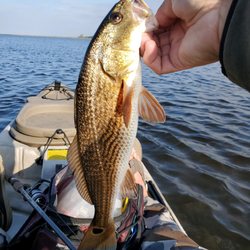 Destin Kayak Rentals