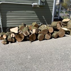 Tonner Bros Tree Service - The cut logs