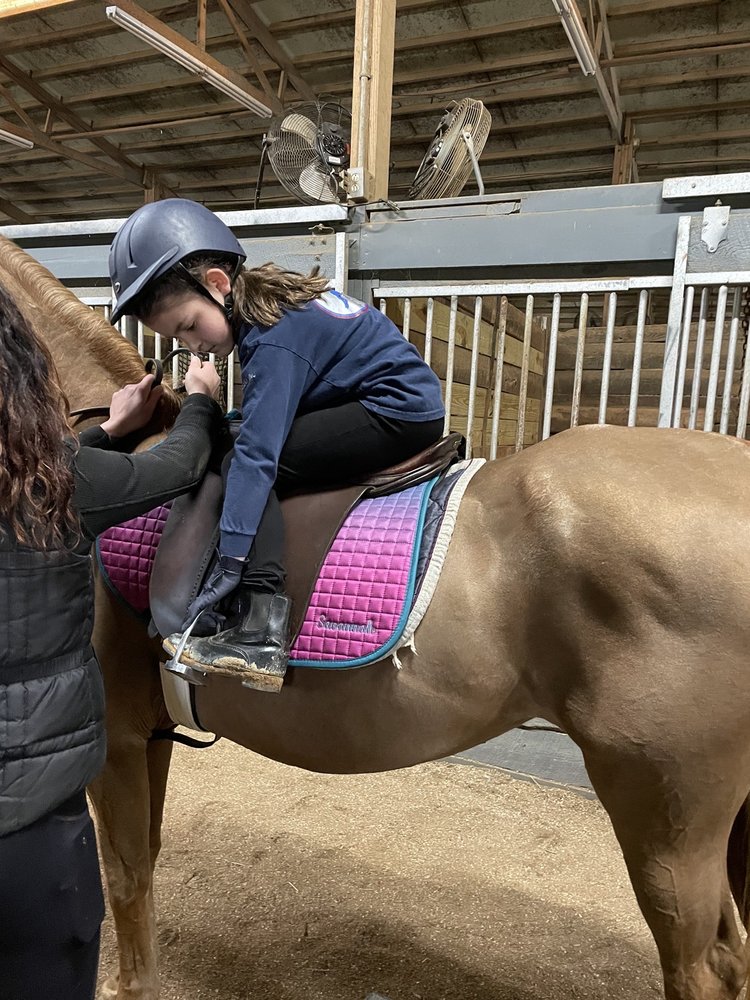 Chestnut Lane - equestrian in Monroe, NC