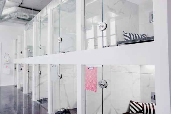 DOGGIEVILLE MTL by null