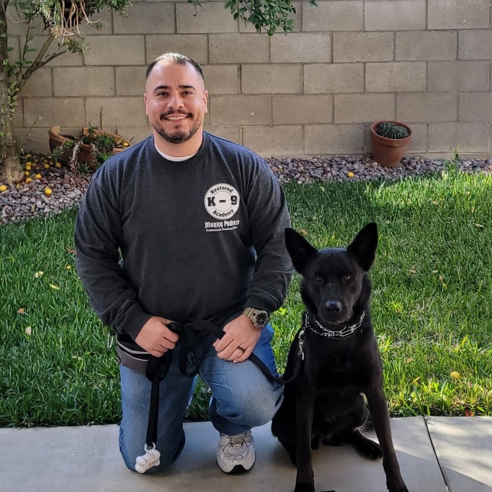 Restored k-9 Academy - Manny and Flynn on graduation day! - Pet Training Near Me Restored k-9 Academy - Manny and Flynn on graduation day! - Pet Training Near Me