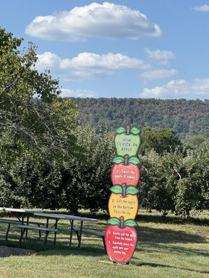 Marker-Miller Orchards by null